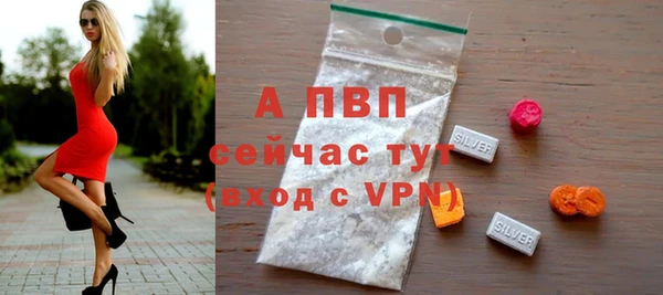 прущие грибы Беломорск