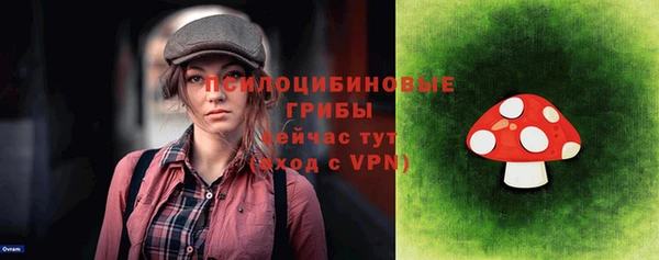 дмт Богородск