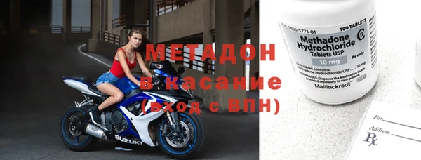 прущие грибы Беломорск