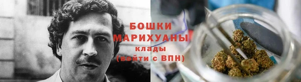прущие грибы Беломорск