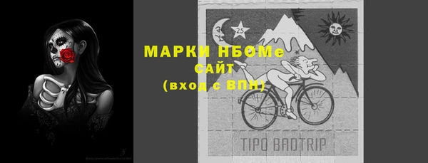 прущие грибы Беломорск