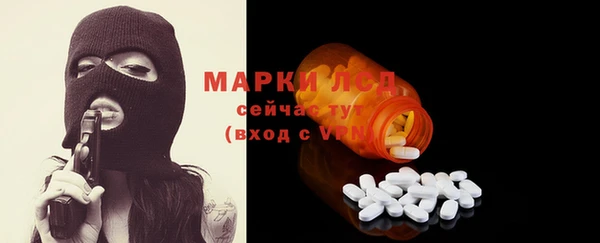 прущие грибы Беломорск