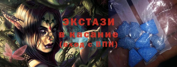 ECSTASY Богданович