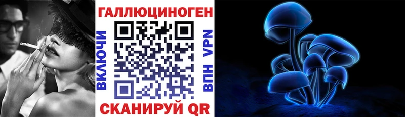 Купить где  Кодинск  Псилоцибиновые грибы мицелий 