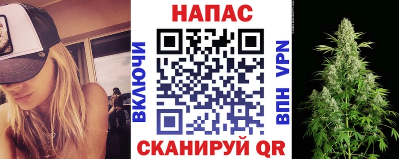 Марихуана план  Купить закладки  Кодинск 